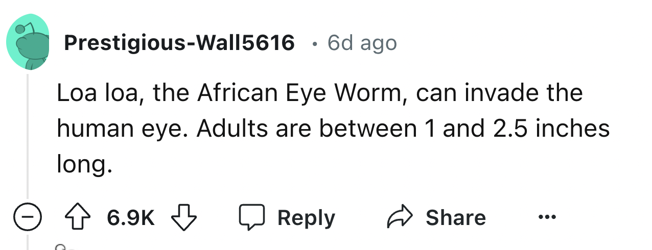 number - PrestigiousWall5616 6d ago Loa loa, the African Eye Worm, can invade the human eye. Adults are between 1 and 2.5 inches long.